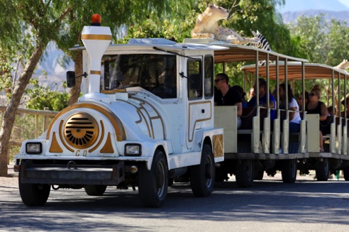 Zoo transport!